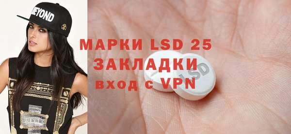прущие грибы Вязьма
