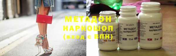 прущие грибы Вязьма