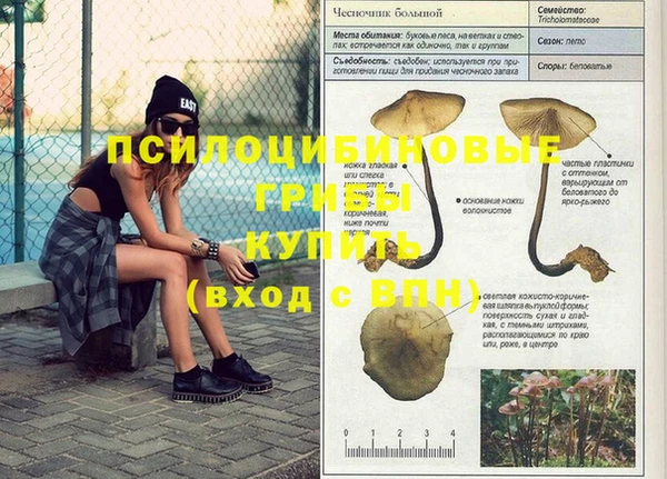 альфа пвп Покровск