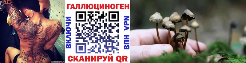 Галлюциногенные грибы Psilocybine cubensis  Купить  Камешково 